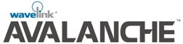 Wavelink Solução Avalanche